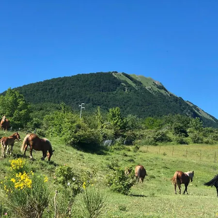 Отель Pietrapanna Calvello