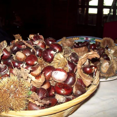 Pietrapanna Hotel 3*